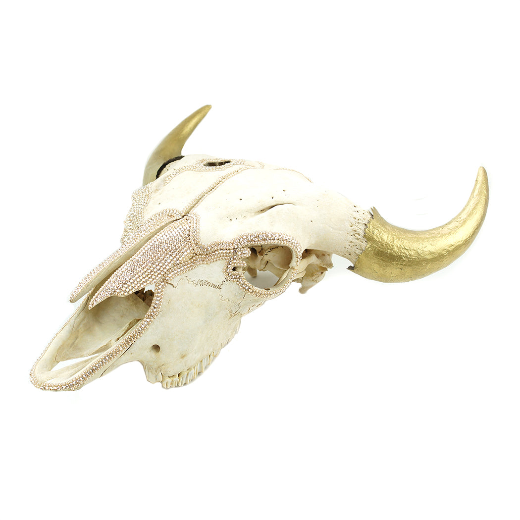 bison skull (golden shadow and pearl)