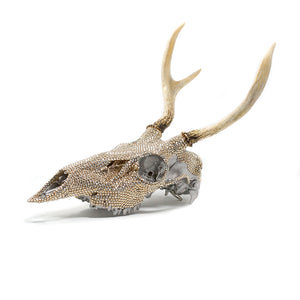 deer skull (golden shadow + silver)