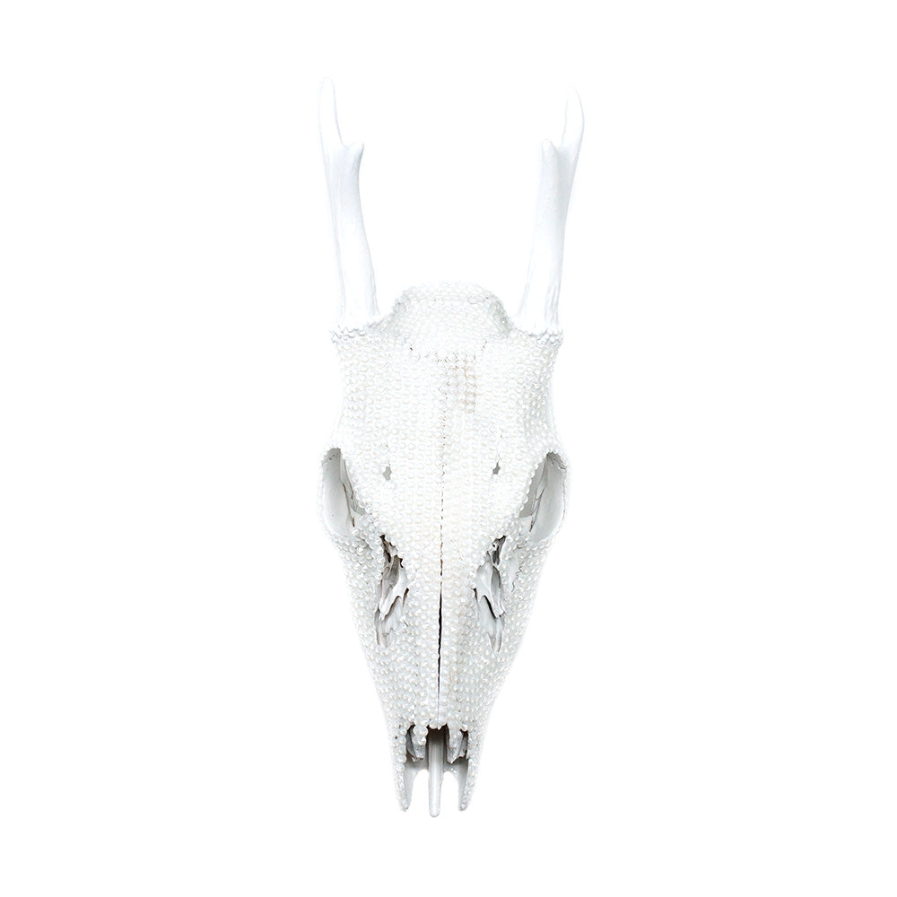 white out deer skull